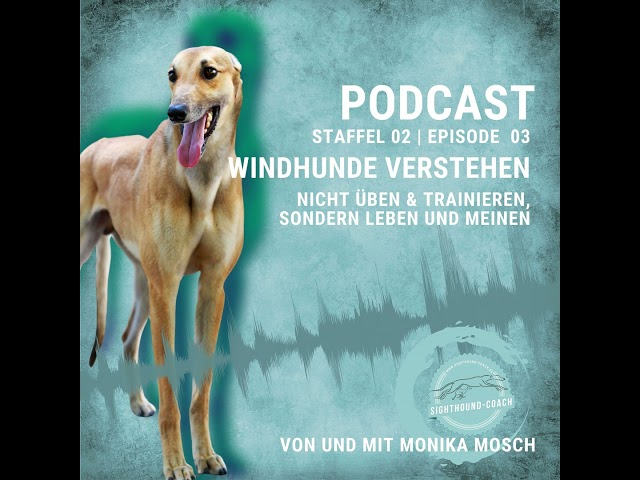 "Windhunde verstehen": Nicht üben & trainieren, sondern leben und meinen.