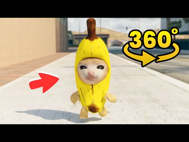 Banana Cat | Finding Challenge 360° VR