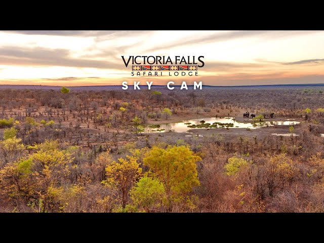 Victoria Falls Safari Lodge - Sky Cam | Wildlife Live Stream