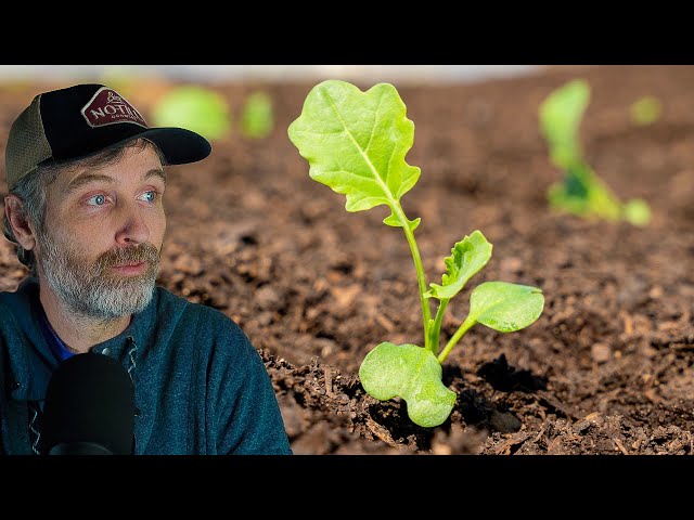 Deep Compost Mulch and Soil Testing + How Much Marketing Do Farms REALLY Need