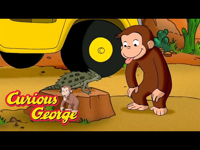 The Desert Is Full of Life! 🐵 Curious George 🐵 Kids Cartoon 🐵 Kids Movies