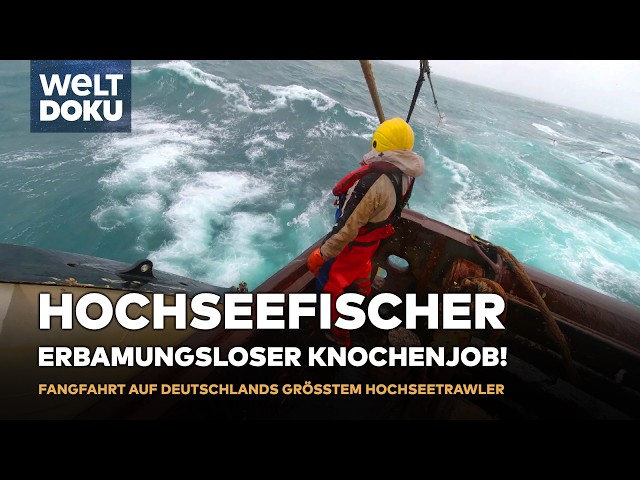 HOCHSEEFISCHER: Fangfahrt auf Deutschlands größten Trawler Maartje Theadora | WELT  DOKU (reupload)