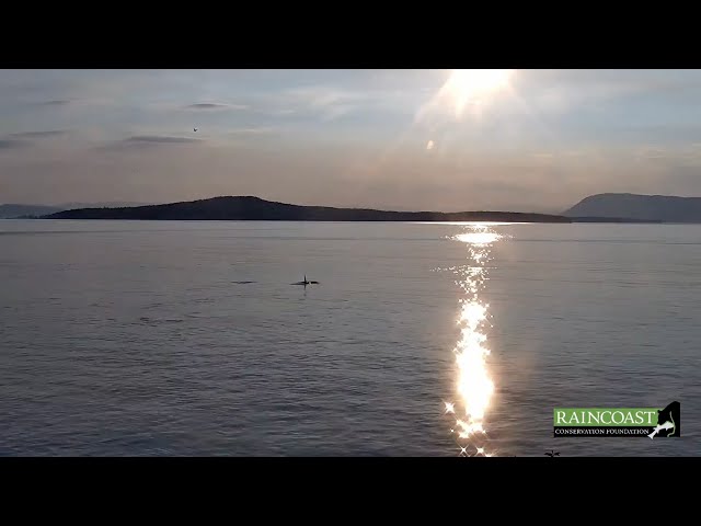 Pender Whale Sanctuary Underwater Listening Station