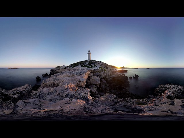 Meet the happiest animal on Earth on Rottnest Island