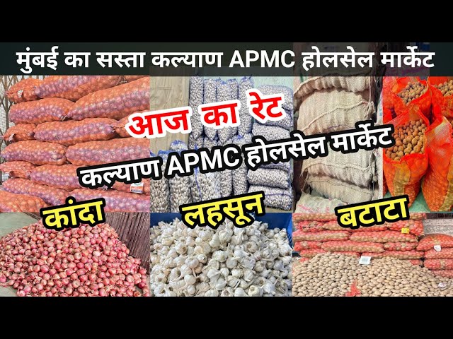 Kalyan Apmc Wholesale Market | India Potato News Today | APMC Market Onion Rate Today | Lahsun Bhav