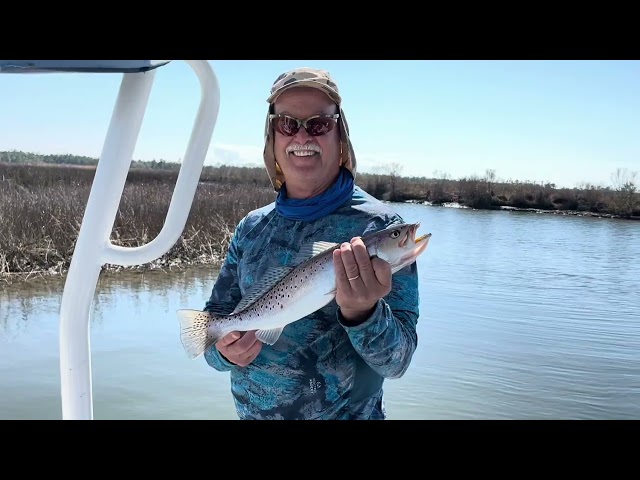 Mississippi Winter Bite