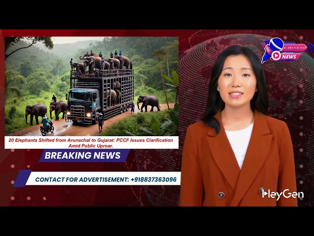 Total 20 Elephants Shifted from Arunachal to Gujarat: PCCF Issues Clarification Amid Public Uproar.