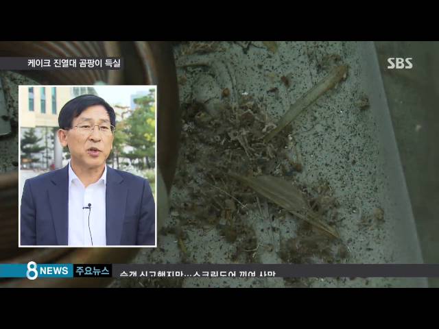 "1년에 한 번 청소"…케이크 진열대 곰팡이 '득실' / SBS