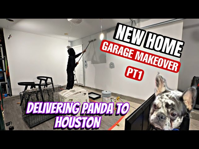 FRENCHIES NEW HOME, DELIVERING PANDA TO HOUSTON.