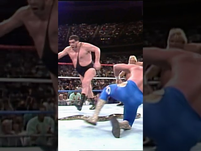 Andre the Giant eliminates himself