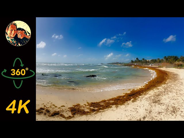 Tour 03 - Tulum Beach Promenade (4K 360° Virtual Tour)