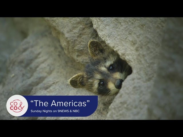 Check Out 'The Americas' on NBC