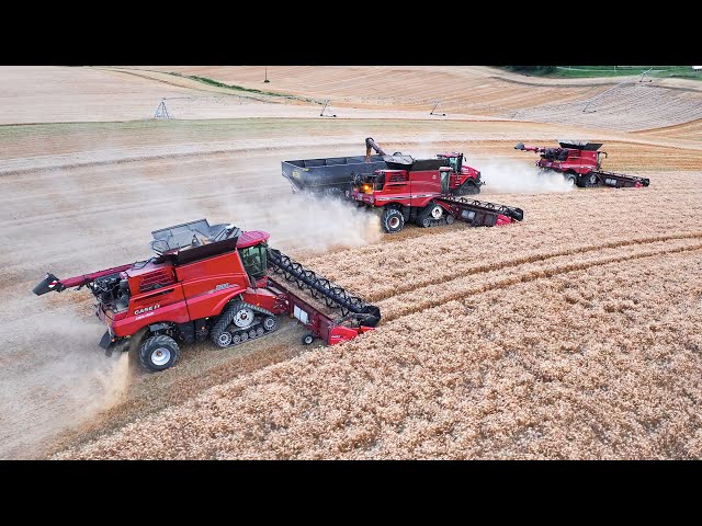 XXL MOISSON BLÉ 2024 avec LA NOUVELLE CASE IH 7260 ! ❤️