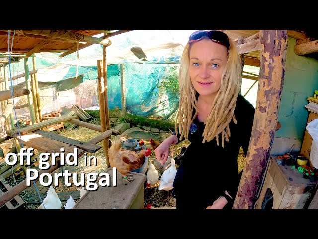 BUILDING AN OFF GRID LIFE IN PORTUGAL - THE IMPORTANT STUFF (VAN LIFE)