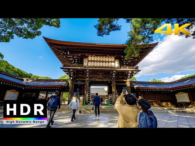 【4K HDR】Walk in Tokyo Meiji Jingu 100 Year Anniversary 明治神宮鎮座百年祭奉祝 - Japan Walking Tour - Fall 2020