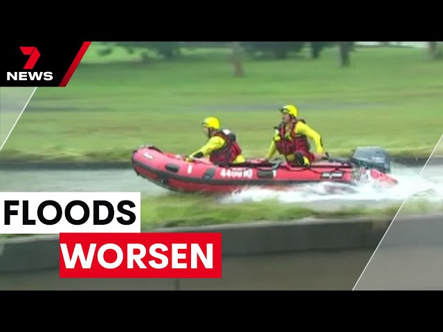 'Biblical level rains' are anticipated as flood conditions worsen in Northern Queensland | 7NEWS