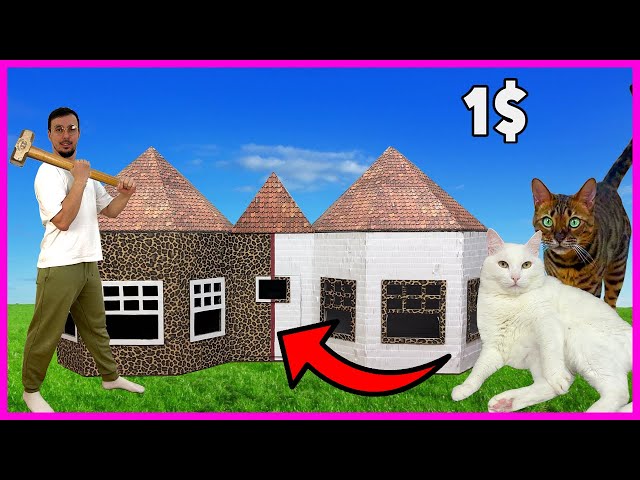 CARDBOARD DREAM HOUSE FOR 🐈 CATS FOR $1