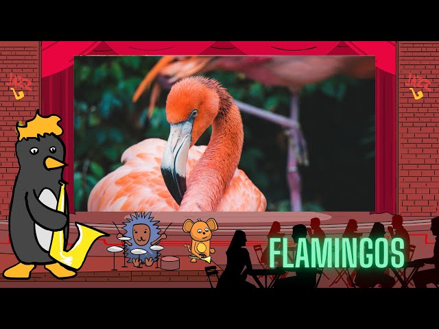 Jazz Baby: Flamingos by Oxbridge Baby