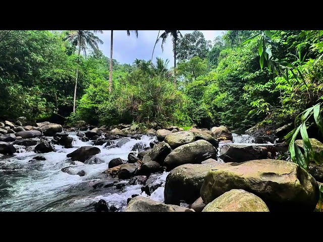 Calm Water Sounds Natural Relaxation & Meditation for Inner Peace #asmr