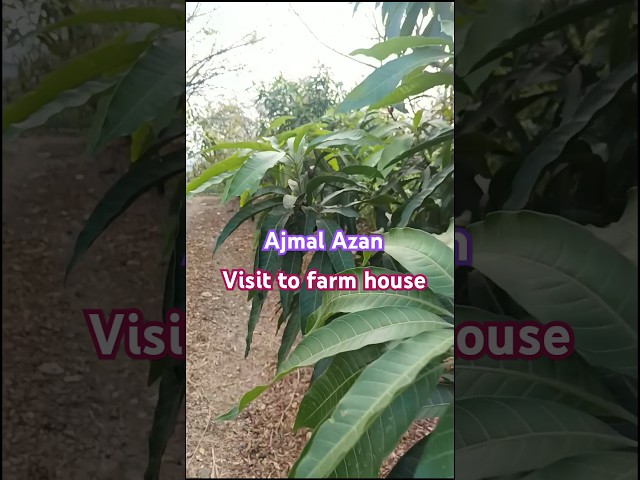 Ajmal Azan/ Visit to farm house