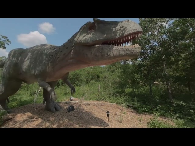 Dinosaurs section - Manitoba Zoo, Vuze XR, VR 180° (5.7K), Winnipeg, Manitoba, Canada - Watch in 3D