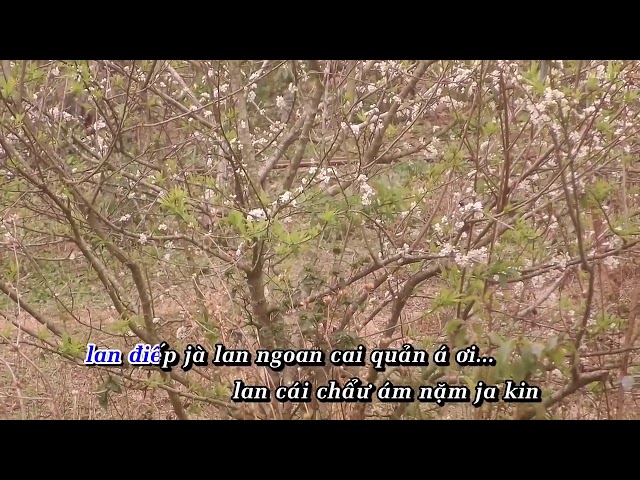 Dân ca Tày - Gia đình văn hóa