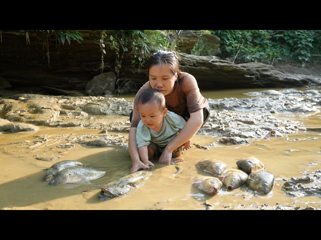 Single mother and baby use pump to suck up abandoned pond, catch lots of fish