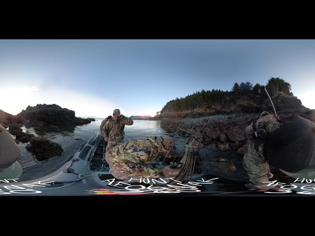 VR 360 Kodiak Brown Bear Hunt Afognak