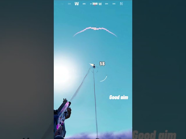 Good aim in the sky  #fortnite #fortniteclips #gaming #win