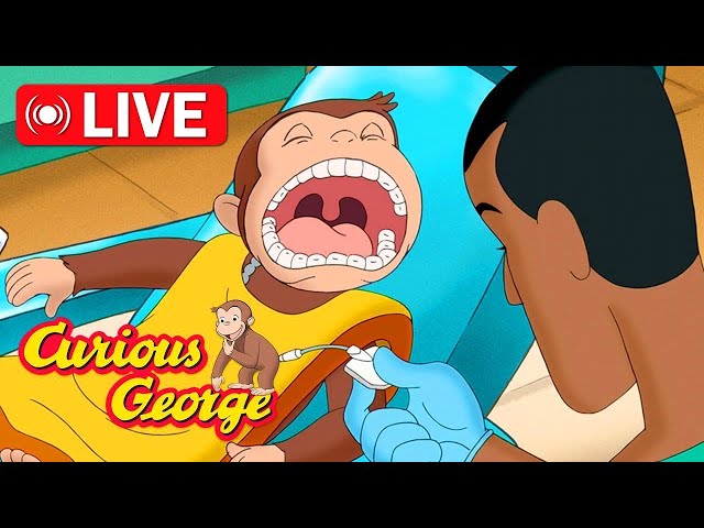 🔴 LIVE Curious George Full Episodes 🐵 Why do we brush our teeth? 🐵 Kids Cartoon 🐵 Kids Movies