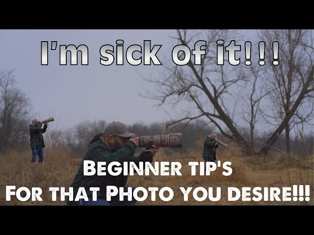 Beginner tips to help “YOU” Capture that photo you desire!!