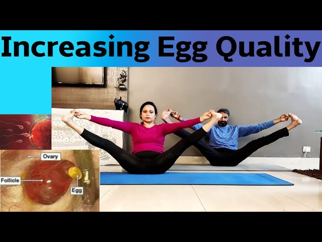 How to Improve Egg Quality in Women Naturally