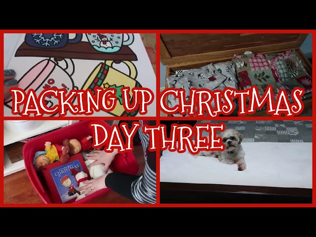 VLOGMAS 2024 - PACKING UP CHRISTMAS - DAY THREE