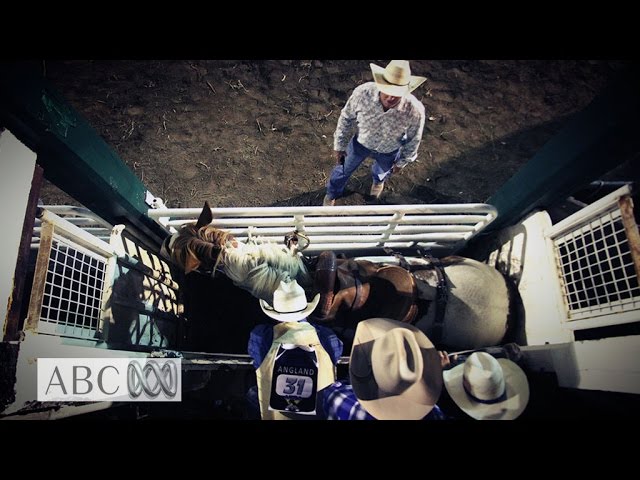 360° video: Immerse yourself in the life of a bronc rider