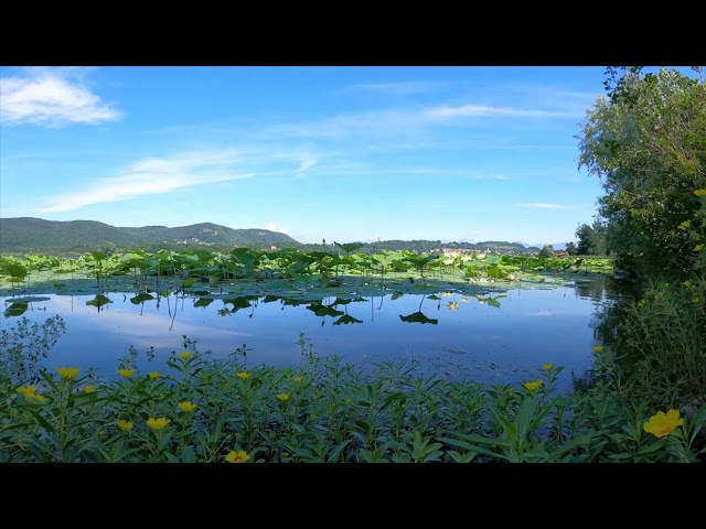 Water Mill Meditation River Pond Sky TrueTube Relaxing Background Work Study Sleep Yoga Music Songs