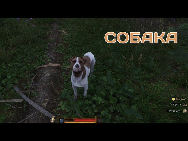 Kingdom Come Deliverance 2 | PS5 PRO | Будни сына кузнеца | Собака | HDR