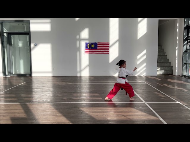 Taekwondo Malaysia Kids - Red Black Belt Pattern Teaguek 8