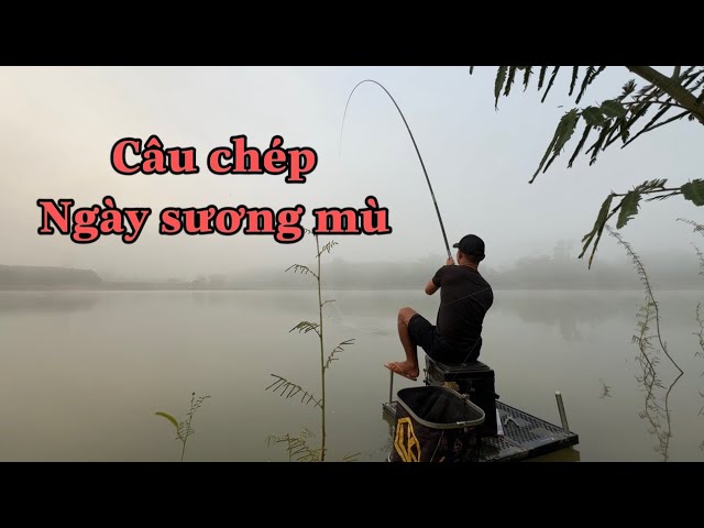 Câu Cá Chép Ngày Sương Mù