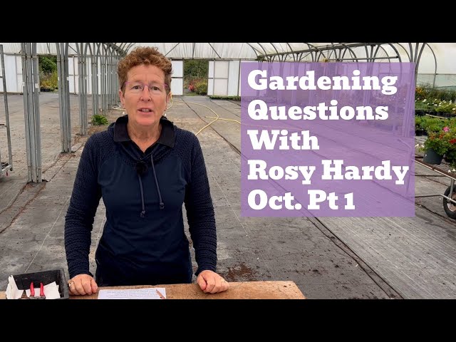 Gardening Questions w/ Rosy Hardy | Episode 6