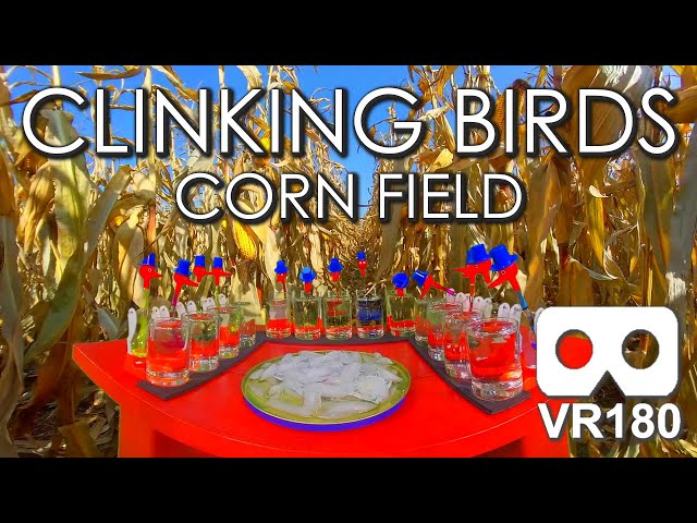 Clinking Birds Corn Field: An ASMR Virtual Reality Experience