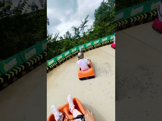 Xe trượt Greenline luge- Cao Nguyên Hoa Đà Lạt