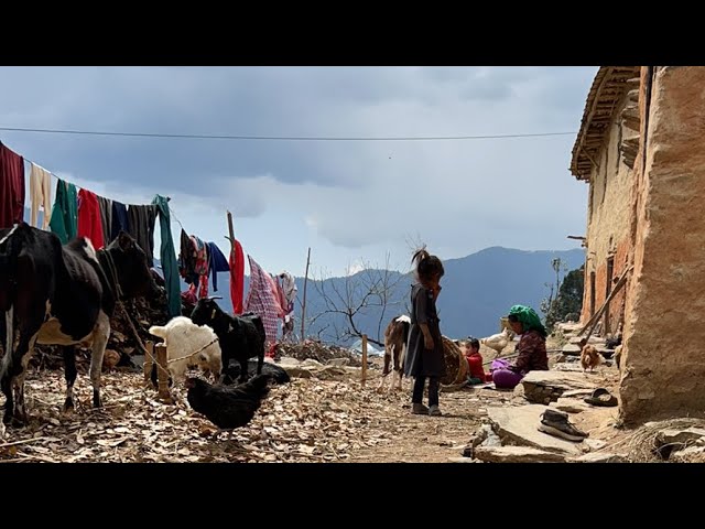 Walking Tour Inside to Jiree Village || IamSuman