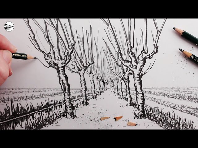 How to Draw Trees using One-Point Perspective for Beginners