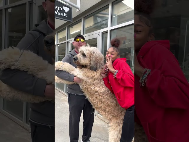 Bruce goes on road trip to OKC outlets