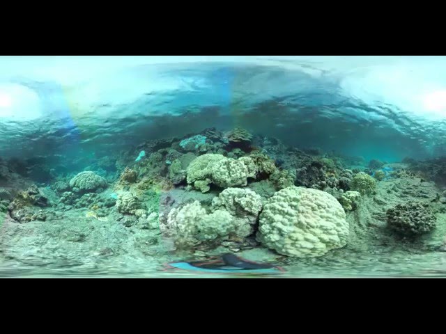 360 Experience of Reef Research and Exploration