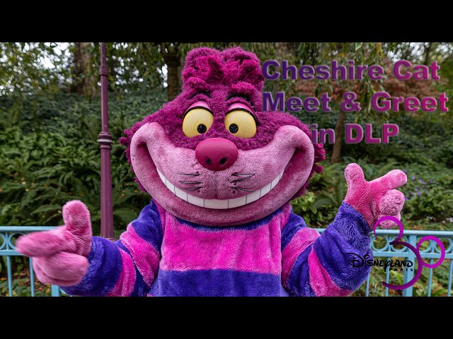 8K Cheshire Cat Meet & Greet during Halloween time at Disneyland Paris in VR180 3D