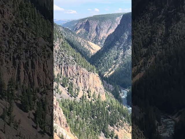 Grand Canyon of Yellowstone Sept 2024. Beautiful! #yellowstone #grandcanyon #adventure