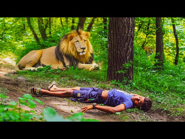 Lion Attack Man in Forest | Lion Attack Hunter | Lion Attack Human | Fun Made Movie Part 28