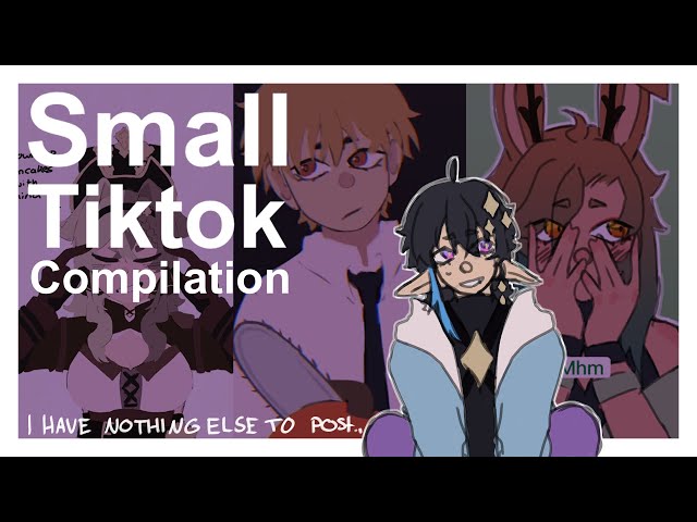 Small TikTok Compilation [My own TikToks]