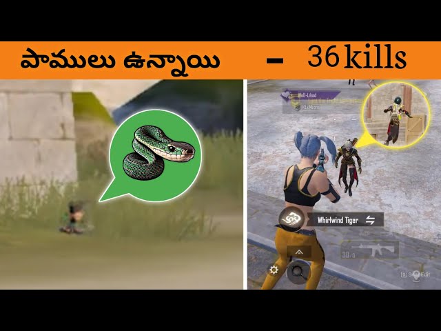 OMG😱 SOLO 36 KILLS WITH SNAKES 🐍|PUBG BGMI | IN TELUGU 🔱